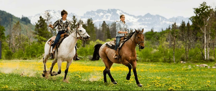 Confident plus-size woman riding Allesley Green a horse through a field with a smile on her face.